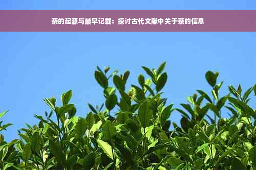 茶的起源与最早记载：探讨古代文献中关于茶的信息