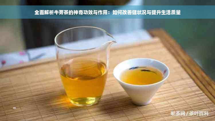 全面解析牛蒡茶的神奇功效与作用：如何改善健状况与提升生活质量