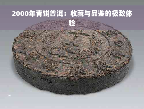 2000年青饼普洱：收藏与品鉴的极致体验