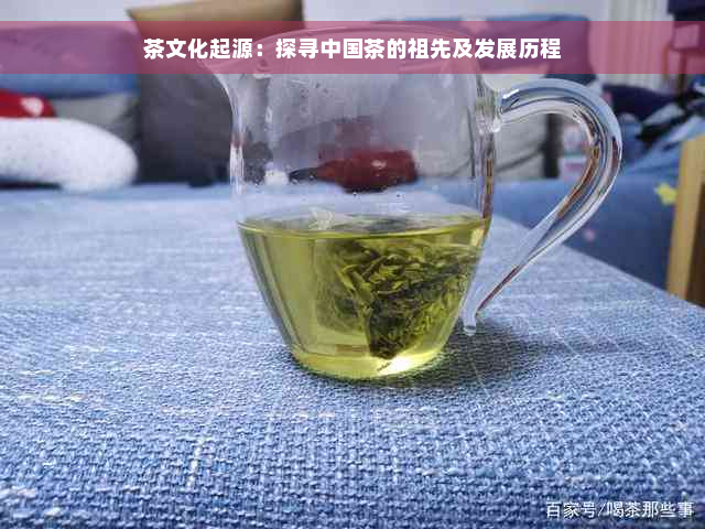 茶文化起源：探寻中国茶的祖先及发展历程