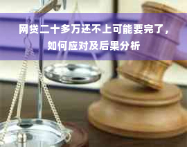 网贷二十多万还不上可能要完了，如何应对及后果分析