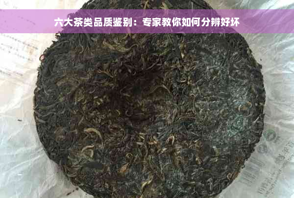 六大茶类品质鉴别：专家教你如何分辨好坏