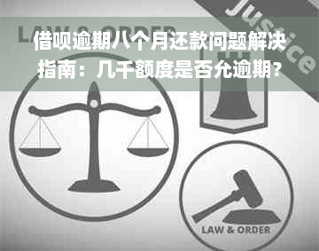 借呗逾期八个月还款问题解决指南：几千额度是否允逾期？