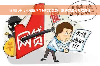 借呗几千可以逾期八个月吗怎么办：解决方法和处理流程