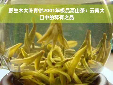 野生木大叶青饼2001年极品高山茶：云南大口中的稀有之品