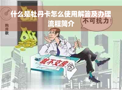 什么是牡丹卡怎么使用解答及办理流程简介