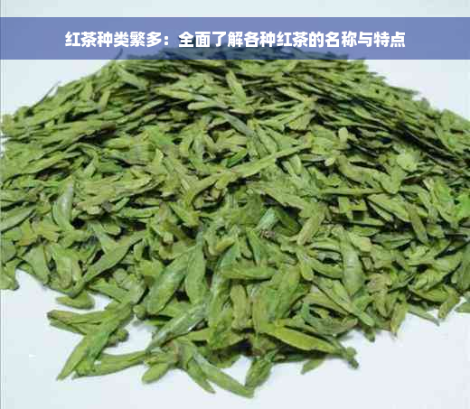 红茶种类繁多：全面了解各种红茶的名称与特点