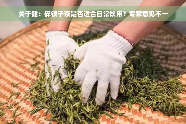 关于健：碎银子茶是否适合日常饮用？专家意见不一