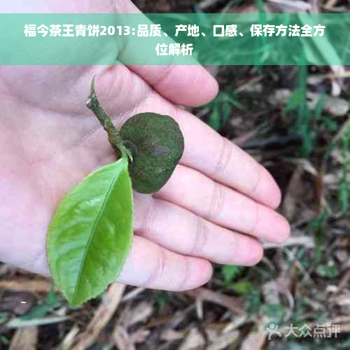 福今茶王青饼2013:品质、产地、口感、保存方法全方位解析