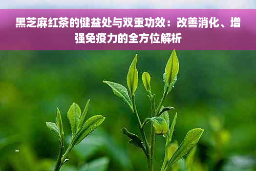 黑芝麻红茶的健益处与双重功效：改善消化、增强免疫力的全方位解析