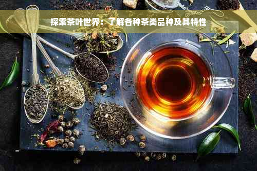 探索茶叶世界：了解各种茶类品种及其特性