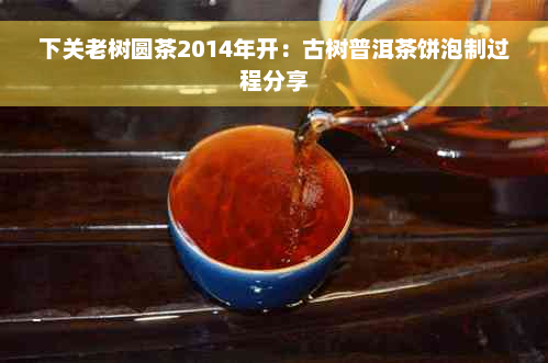 下关老树圆茶2014年开：古树普洱茶饼泡制过程分享