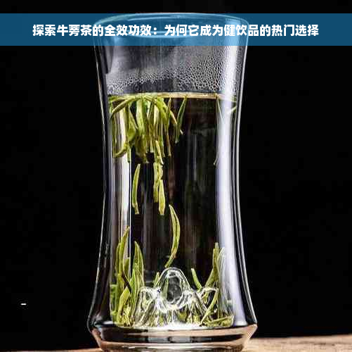 探索牛蒡茶的全效功效：为何它成为健饮品的热门选择