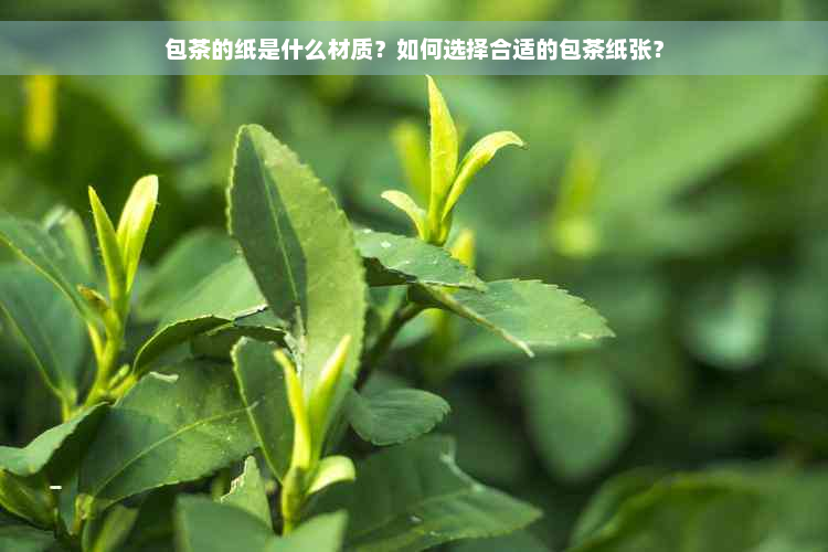 包茶的纸是什么材质？如何选择合适的包茶纸张？