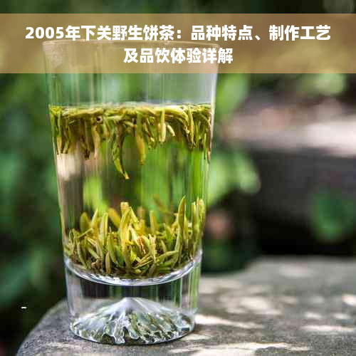 2005年下关野生饼茶：品种特点、制作工艺及品饮体验详解