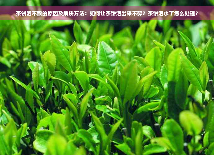 茶饼泡不散的原因及解决方法：如何让茶饼泡出来不碎？茶饼泡水了怎么处理？