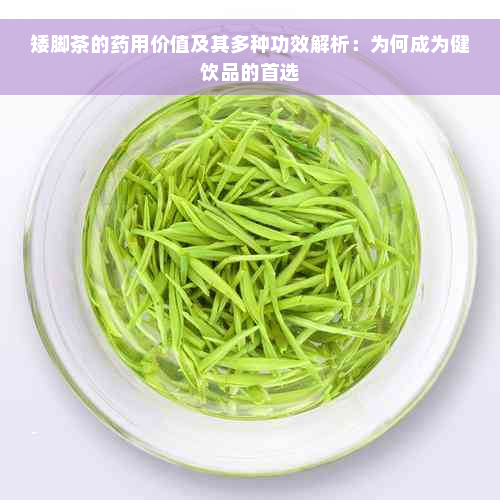 矮脚茶的药用价值及其多种功效解析：为何成为健饮品的首选