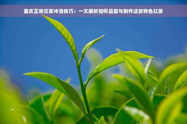 重庆正宗沱茶冲泡技巧：一文解析如何品尝与制作这款特色红茶