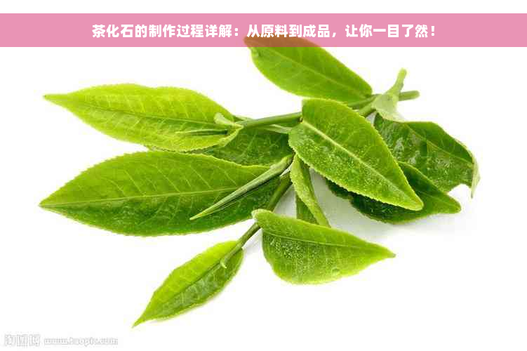 茶化石的制作过程详解：从原料到成品，让你一目了然！