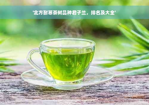 '北方耐寒茶树品种君子兰，排名及大全'