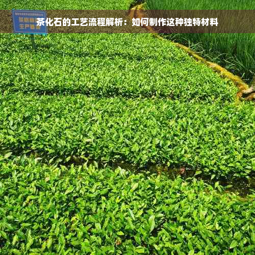 茶化石的工艺流程解析：如何制作这种独特材料