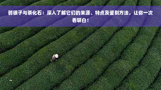 碎银子与茶化石：深入了解它们的来源、特点及鉴别方法，让你一次看明白！