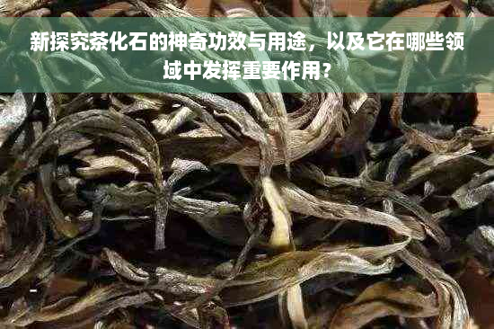 新探究茶化石的神奇功效与用途，以及它在哪些领域中发挥重要作用？