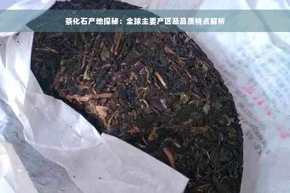 茶化石产地探秘：全球主要产区及品质特点解析