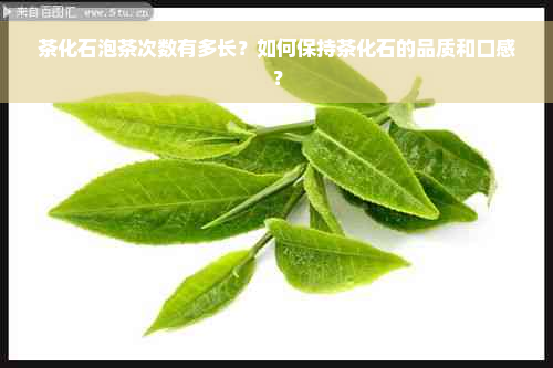 茶化石泡茶次数有多长？如何保持茶化石的品质和口感？