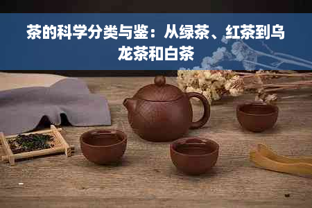 茶的科学分类与鉴：从绿茶、红茶到乌龙茶和白茶