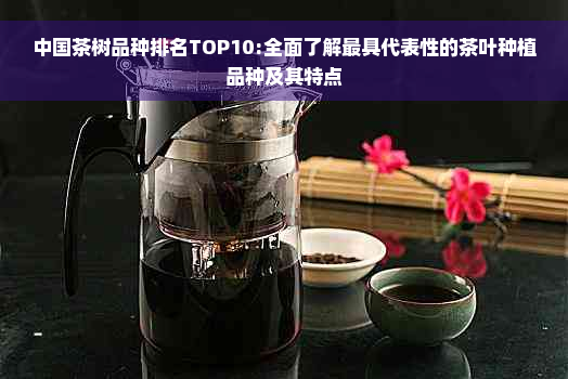 中国茶树品种排名TOP10:全面了解更具代表性的茶叶种植品种及其特点