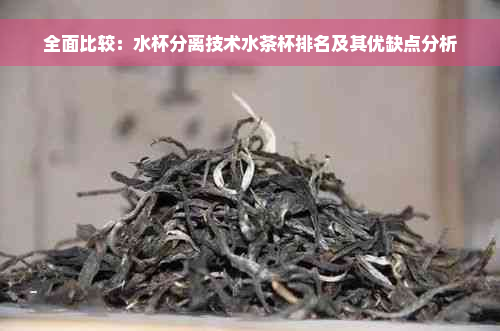 全面比较：水杯分离技术水茶杯排名及其优缺点分析