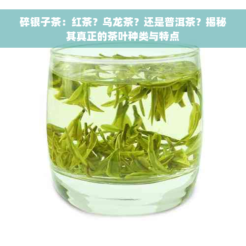 碎银子茶：红茶？乌龙茶？还是普洱茶？揭秘其真正的茶叶种类与特点