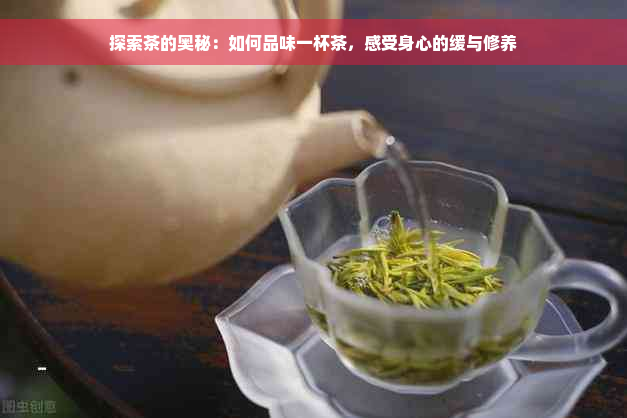 探索茶的奥秘：如何品味一杯茶，感受身心的缓与修养