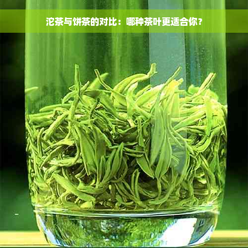 沱茶与饼茶的对比：哪种茶叶更适合你？