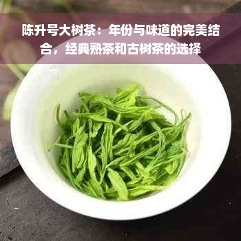 陈升号大树茶：年份与味道的完美结合，经典熟茶和古树茶的选择