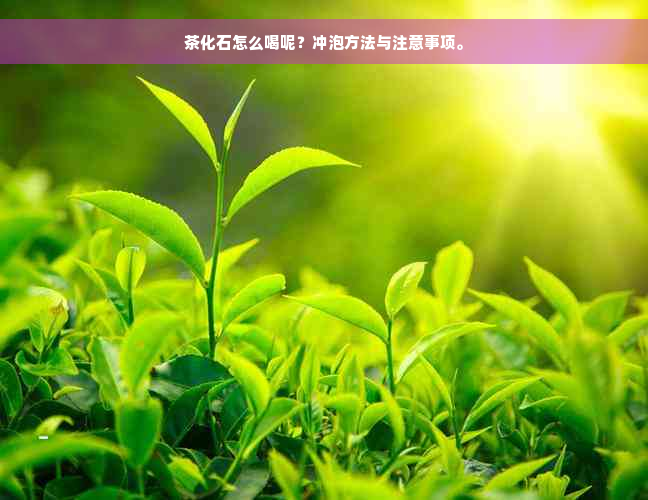 茶化石怎么喝呢？冲泡方法与注意事项。