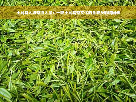 土耳其人均茶摄入量：一窥土耳其茶文化的全貌及影响因素