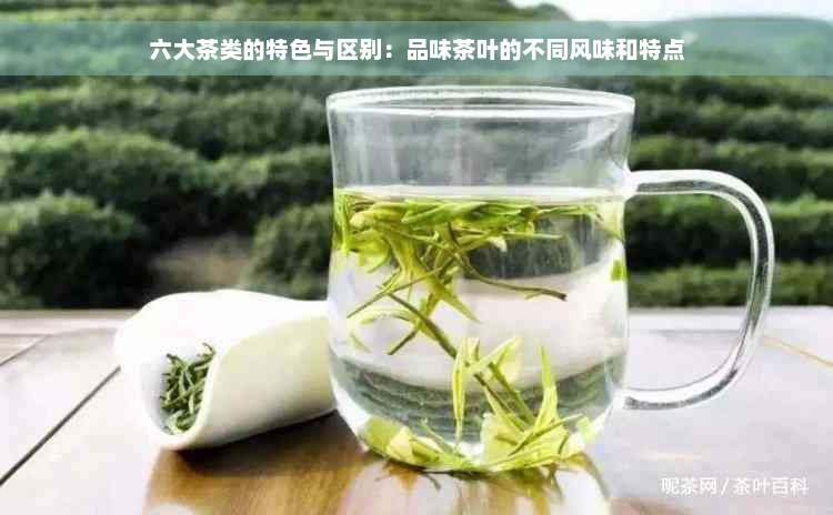 六大茶类的特色与区别：品味茶叶的不同风味和特点