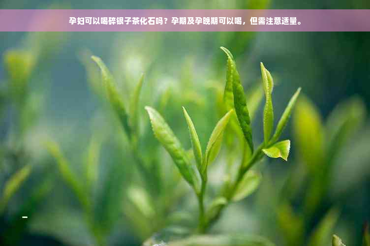 孕妇可以喝碎银子茶化石吗？孕期及孕晚期可以喝，但需注意适量。