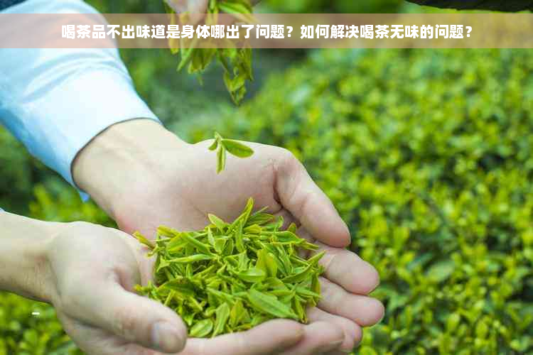 喝茶品不出味道是身体哪出了问题？如何解决喝茶无味的问题？