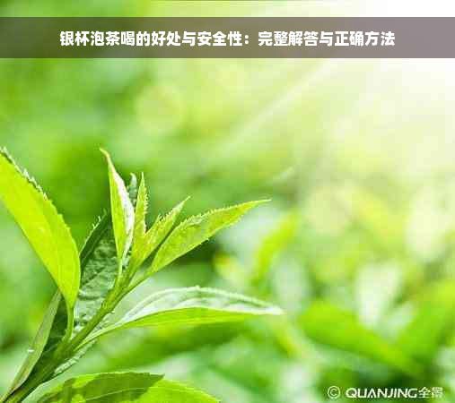 银杯泡茶喝的好处与安全性：完整解答与正确方法