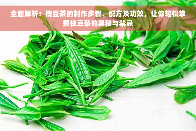 全面解析：槐豆茶的制作步骤、配方及功效，让你轻松掌握槐豆茶的奥秘与禁忌