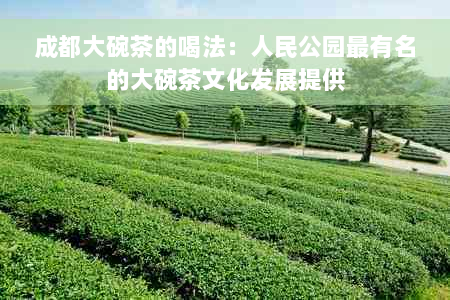 成都大碗茶的喝法：人民公园最有名的大碗茶文化发展提供