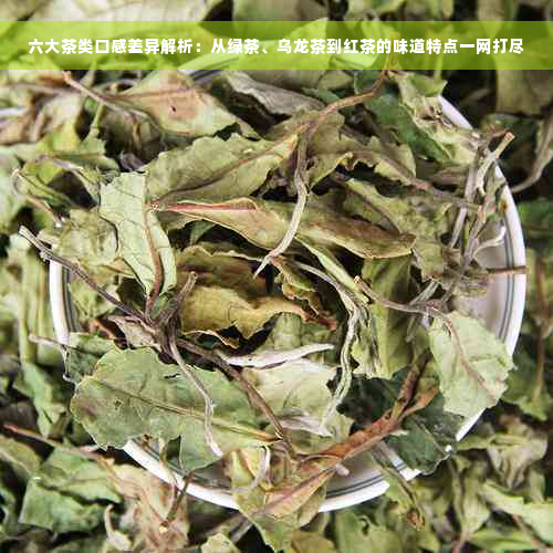 六大茶类口感差异解析：从绿茶、乌龙茶到红茶的味道特点一网打尽