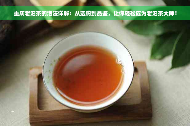 重庆老沱茶的泡法详解：从选购到品鉴，让你轻松成为老沱茶大师！