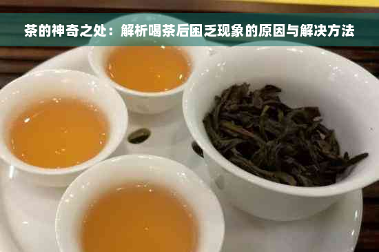 茶的神奇之处：解析喝茶后困乏现象的原因与解决方法