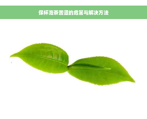 保杯泡茶苦涩的危害与解决方法