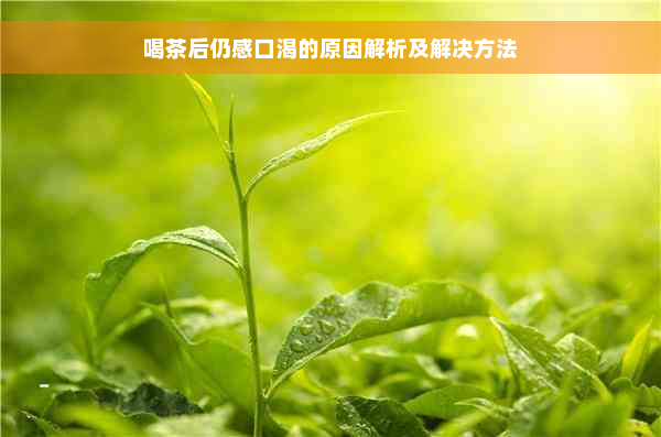 喝茶后仍感口渴的原因解析及解决方法