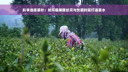 科学选择茶叶：如何根据健状况与饮茶时间打造茶水